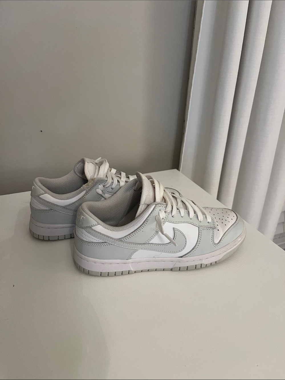 Nike Dunks (Little tear near the laces but not very worn)